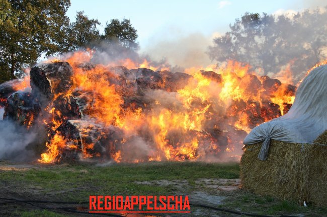 Regio Appelscha